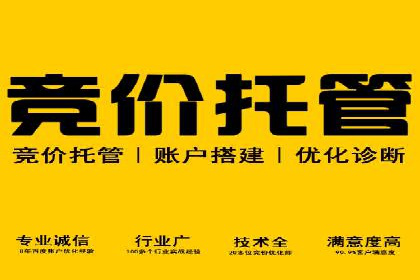 百度网络推广实战：揭秘高效引流秘籍
